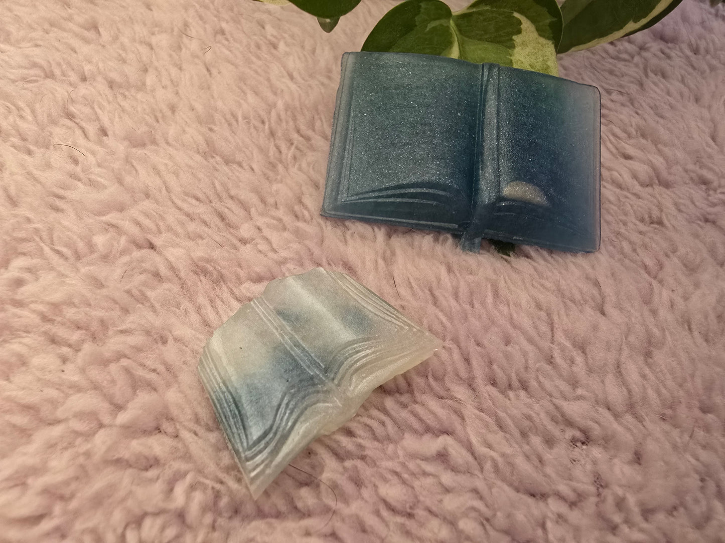 Book coverminders