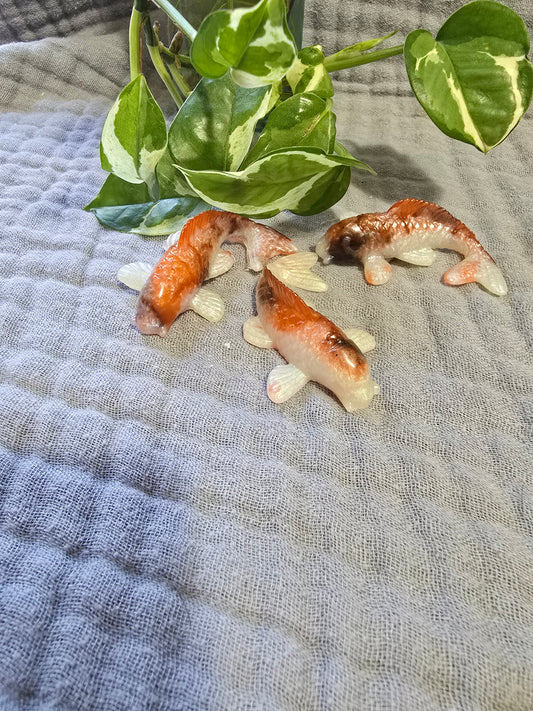 Koi Fish Coverminder